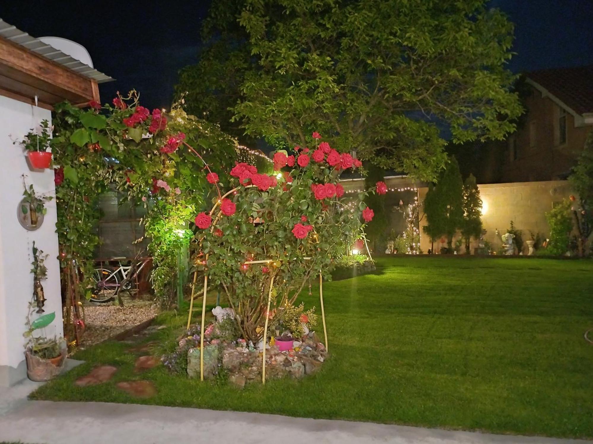 Casa Marinela Otel Băile Felix Dış mekan fotoğraf